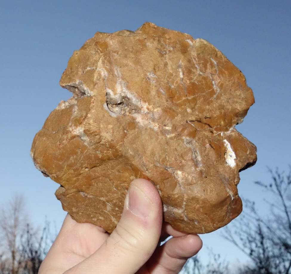 Abb. 1 Profile eines Neandertalers und eines modernen Menschen, Fundort bei Dřevohostice, Jaspis, 12,1 x 10,9 x 5,4 cm.