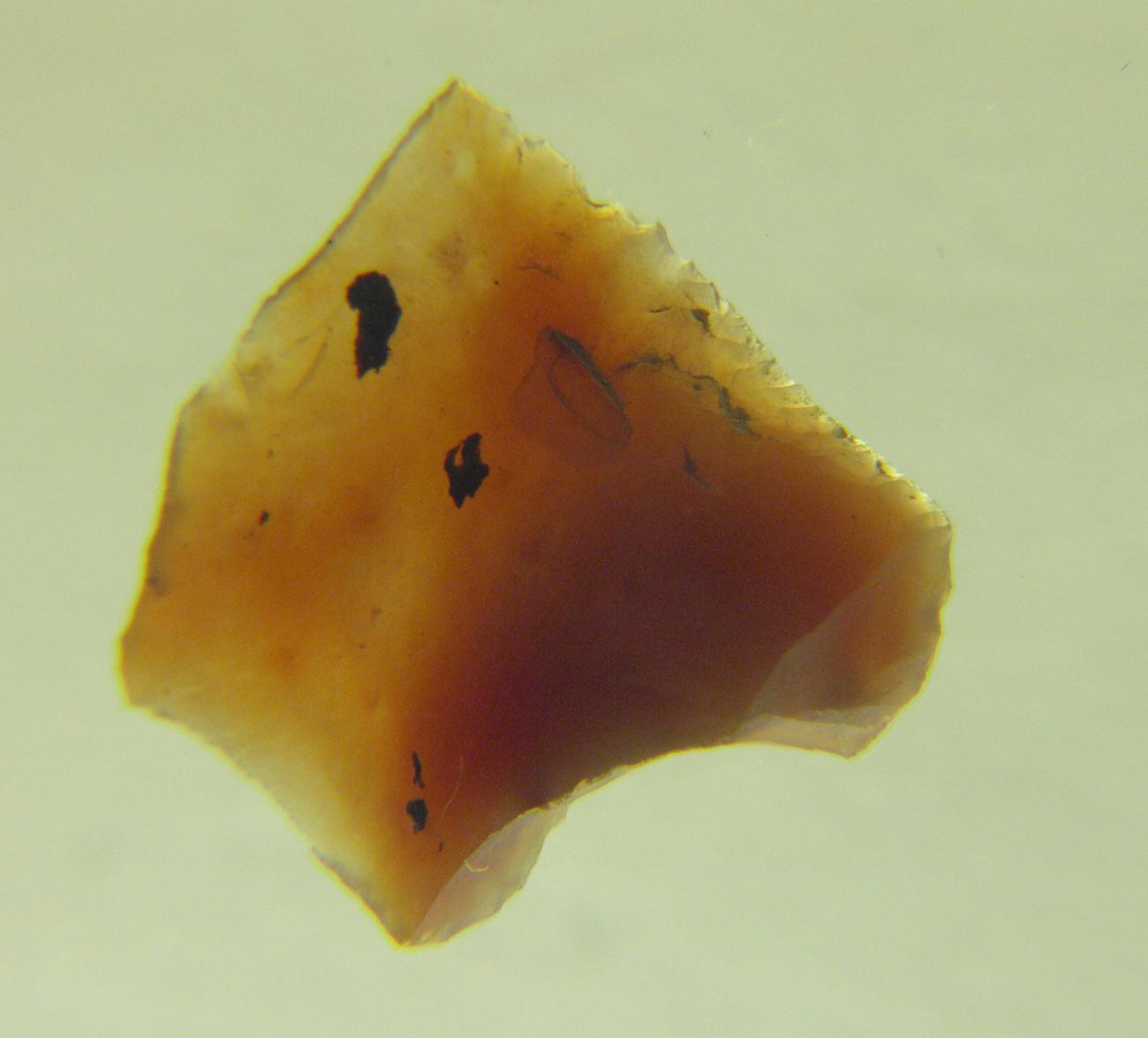 Abb. 4 Feuerstein (2,9 x 2,6 x 0,6 cm).